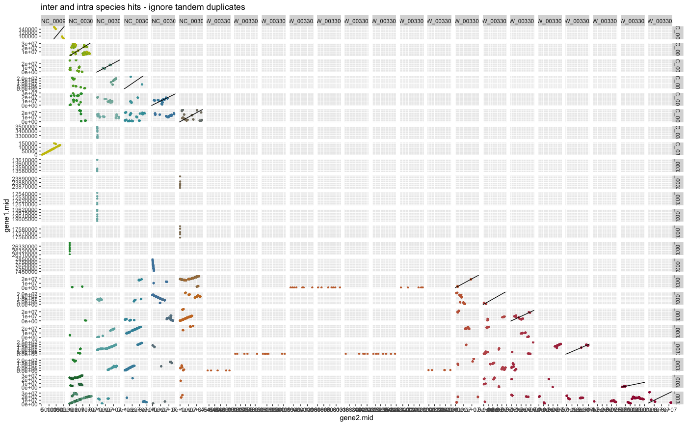 Figure: Dagchainer results of A. thaliana and A. lyrata using inter and intra species hits ignore tandem