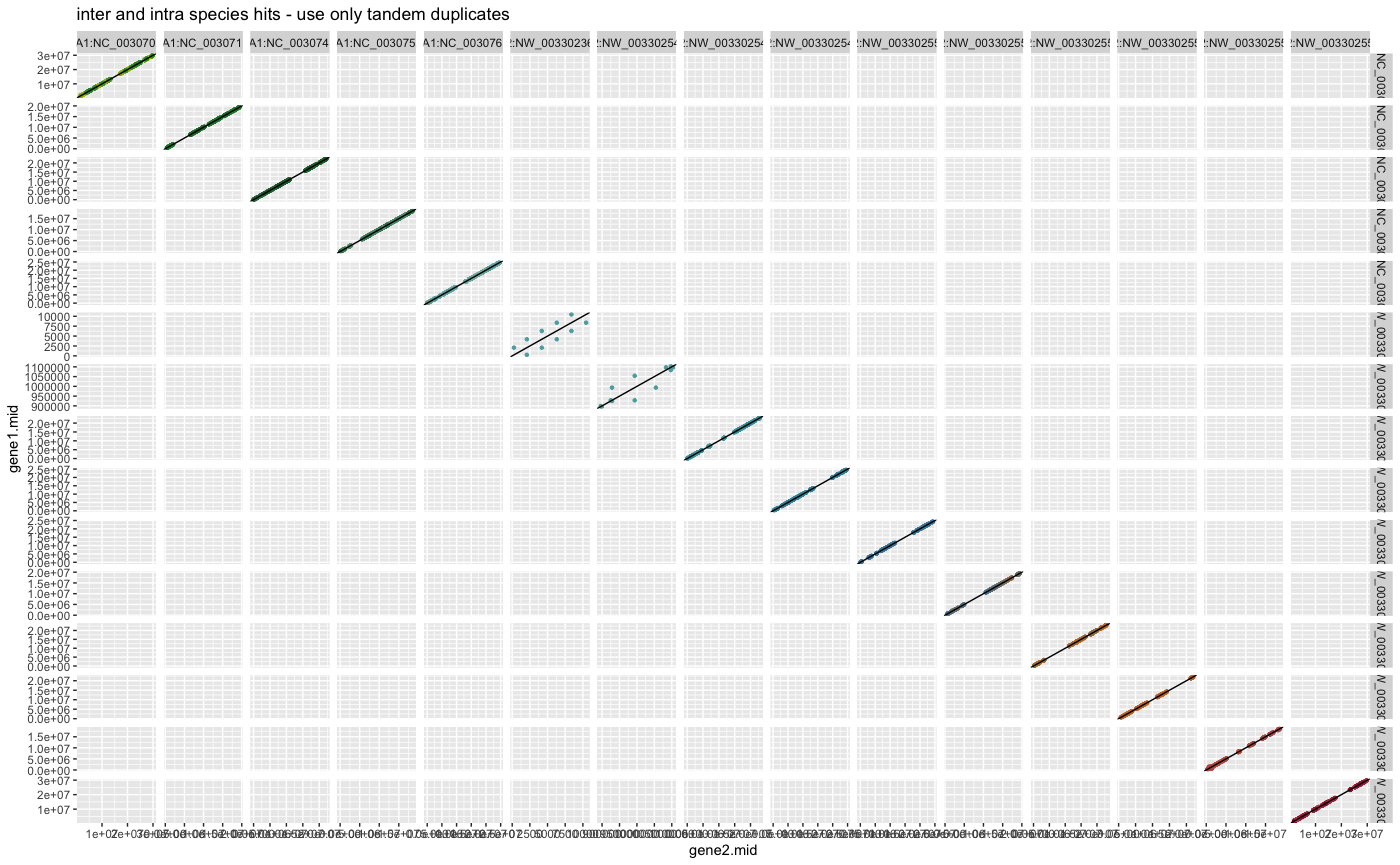 Figure: Dagchainer results of A. thaliana and A. lyrata using inter and intra species hits only tandem