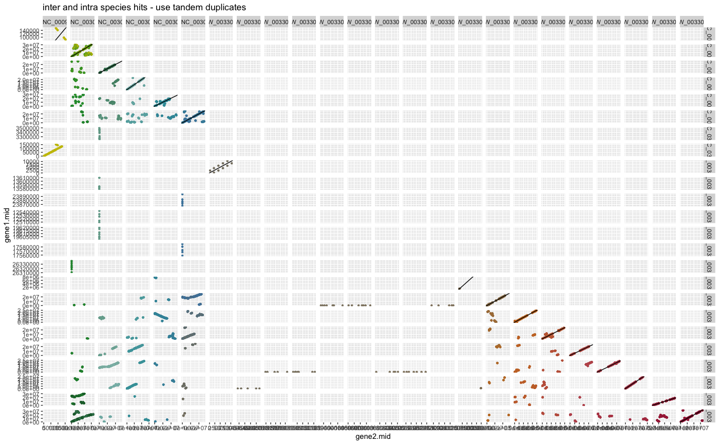 Figure: Dagchainer results of A. thaliana and A. lyrata using inter and intra species hits use tandem