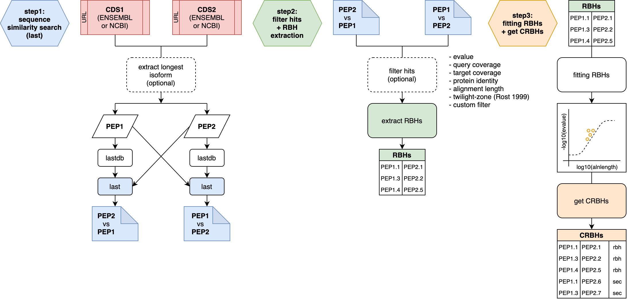 Figure: Individual steps of the cds2rbh() function