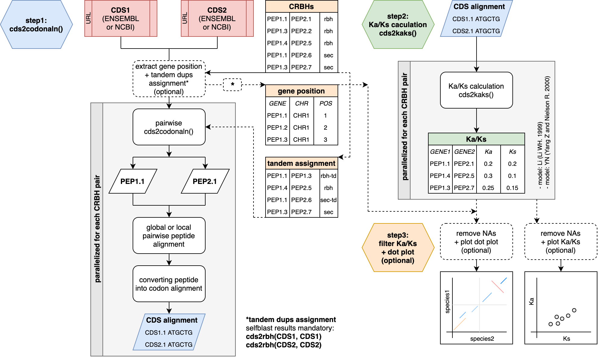 Figure: Individual steps of the rbh2kaks() function